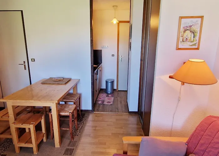 2 Pieces Aux Pieds Des Pistes, Exposition Sud/ouest, Plagne Montalbert - Fr-1-755-16 La Plagne